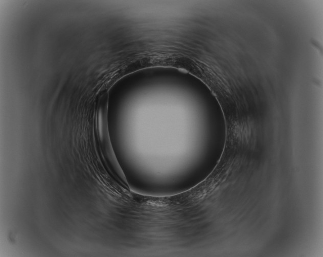 X0000093230914200709261649
