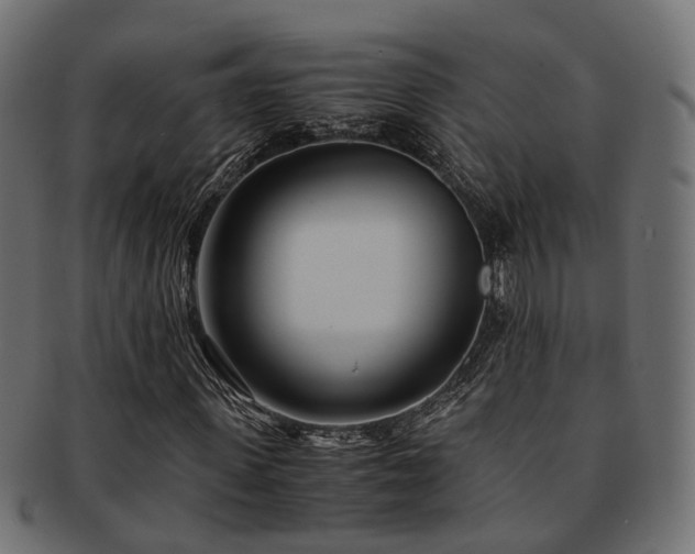 X0000093230915200709261649