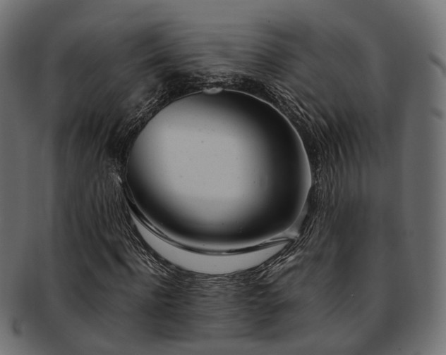 X0000093230916200709261649