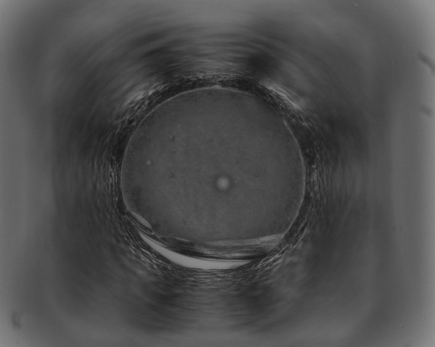 X0000093230917200709261649