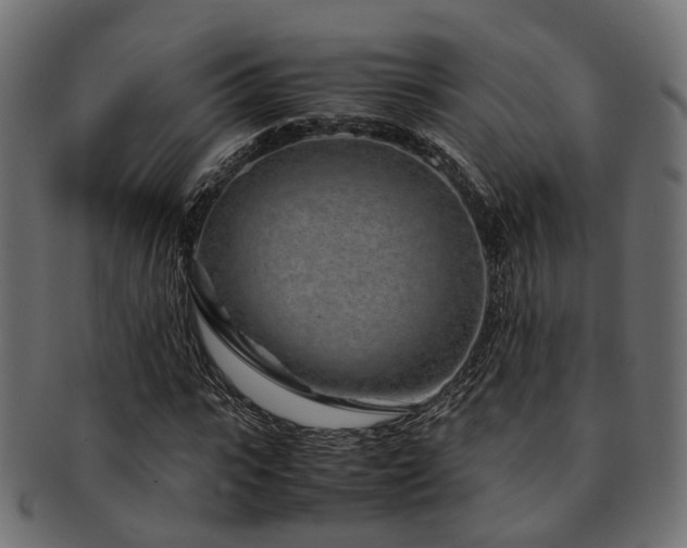 X0000093230919200709261649