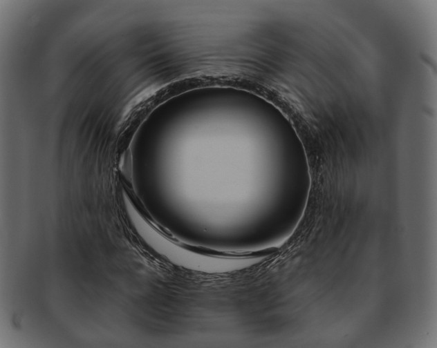 X0000093230920200709261649