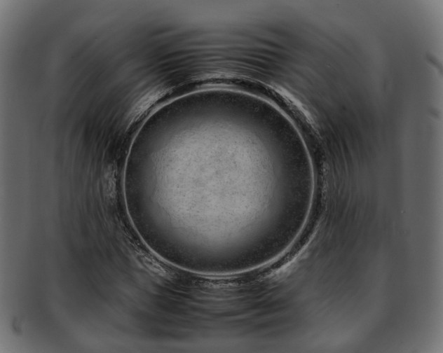 X0000093230921200709261649