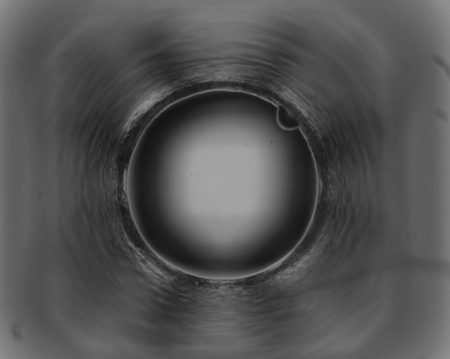 X0000093230922200709261649