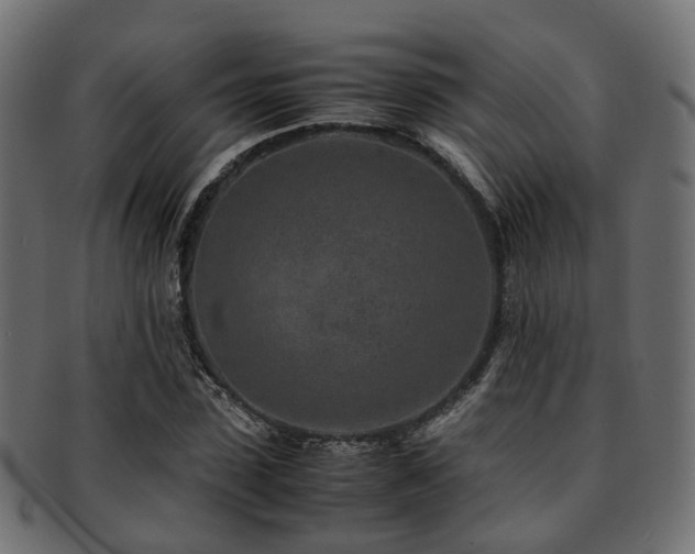 X0000093230923200709261649