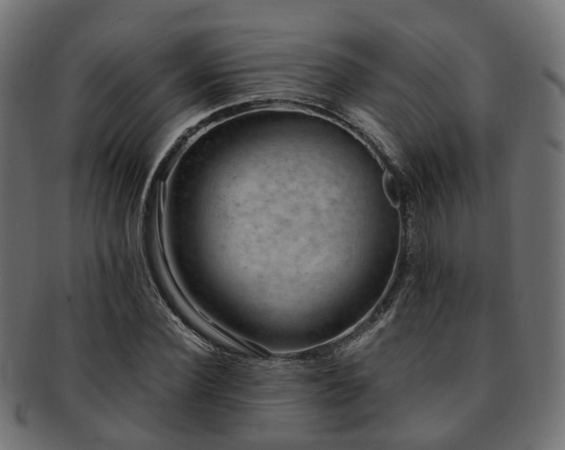 X0000093230924200709261649