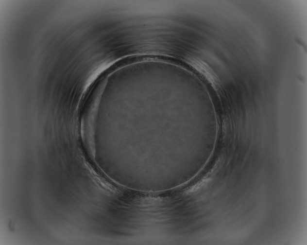 X0000093230925200709261649
