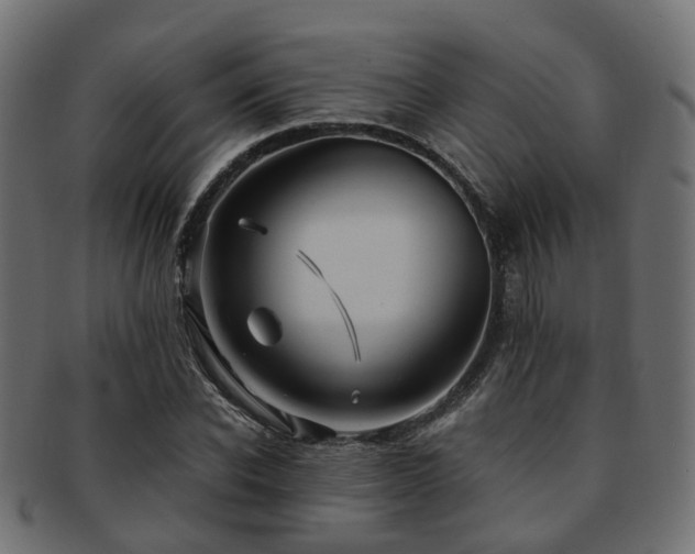 X0000093230926200709261649