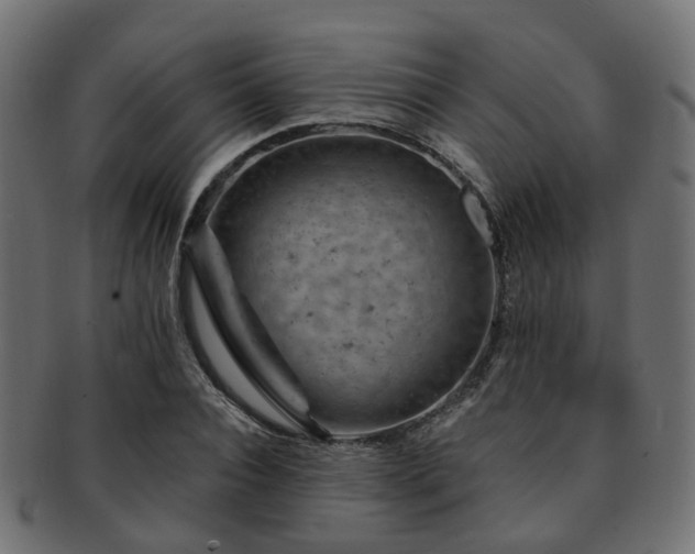 X0000093230928200709261649