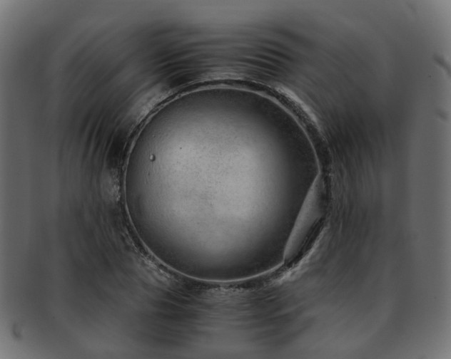 X0000093230929200709261649