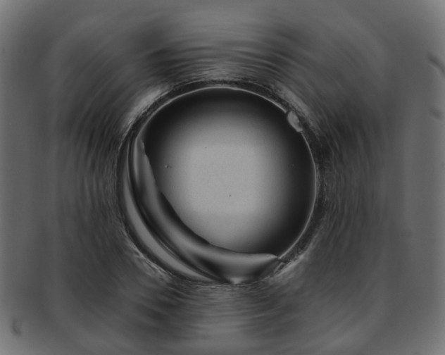 X0000093230930200709261649