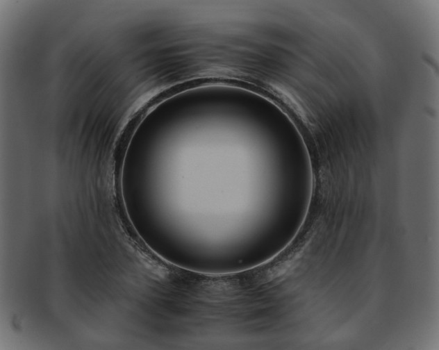 X0000093230931200709261649