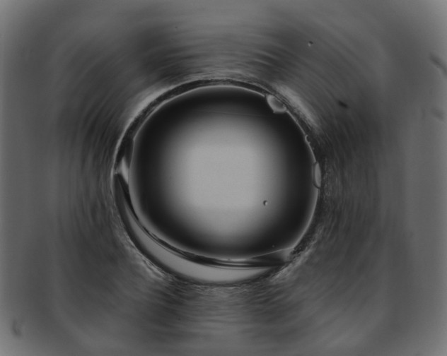 X0000093230932200709261649