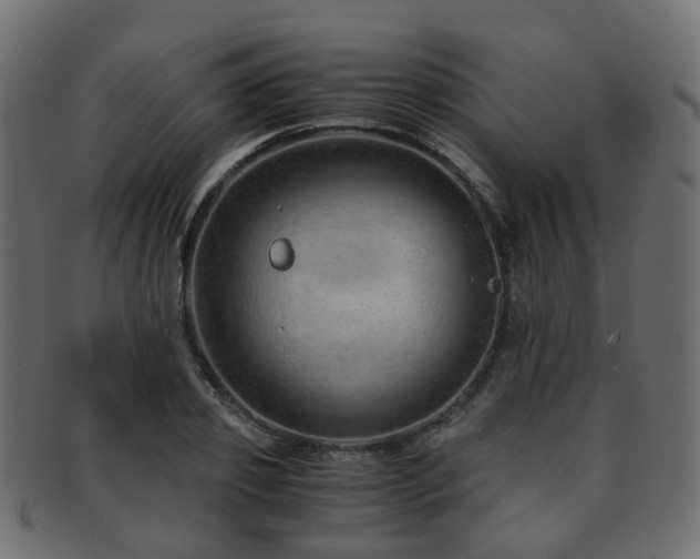 X0000093230933200709261649