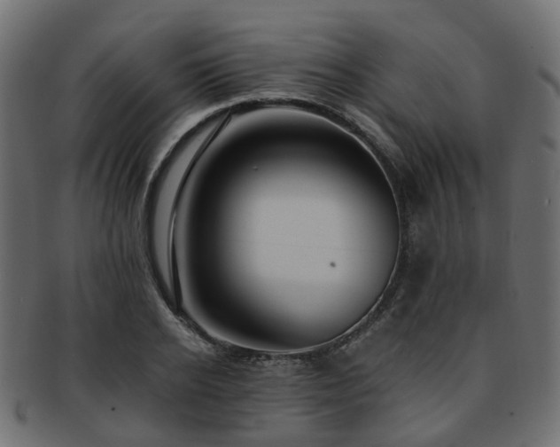 X0000093230934200709261649