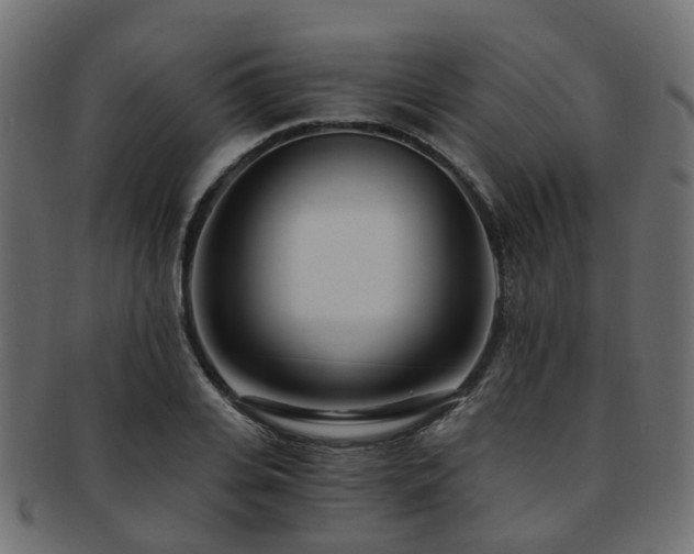X0000093230935200709261649