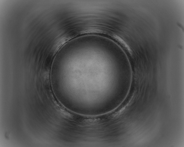 X0000093230937200709261649