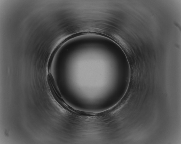 X0000093230940200709261649
