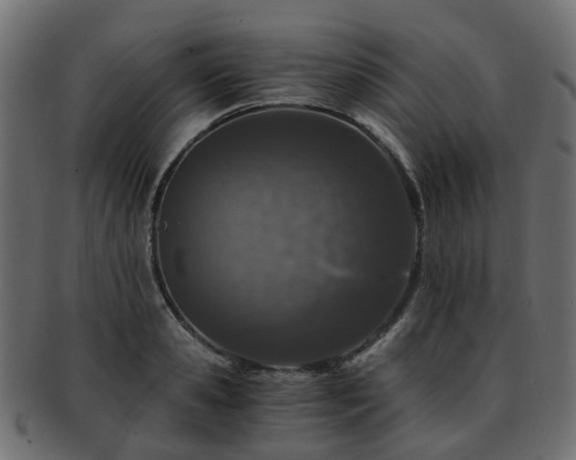 X0000093230941200709261649