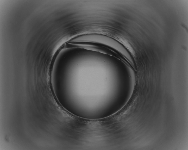 X0000093230944200709261649