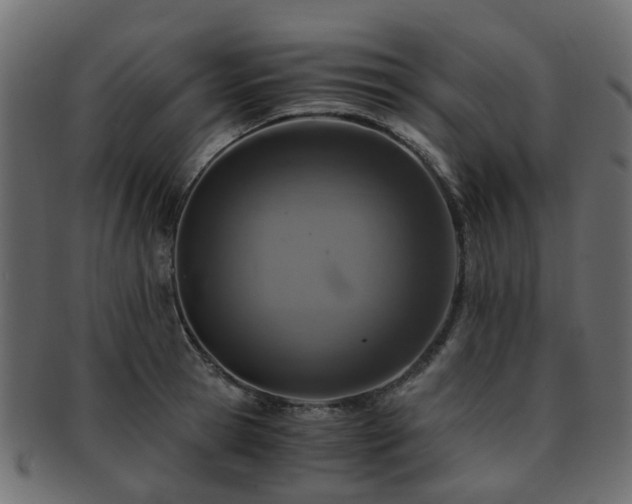 X0000093230945200709261649