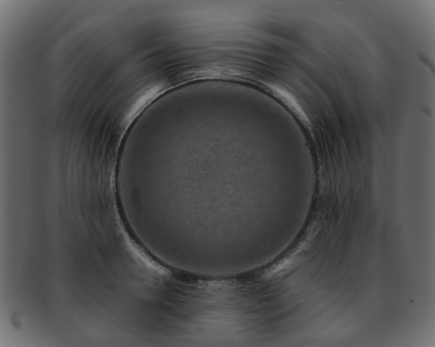 X0000093230946200709261649