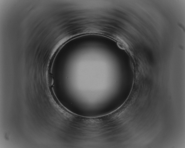 X0000093230947200709261649