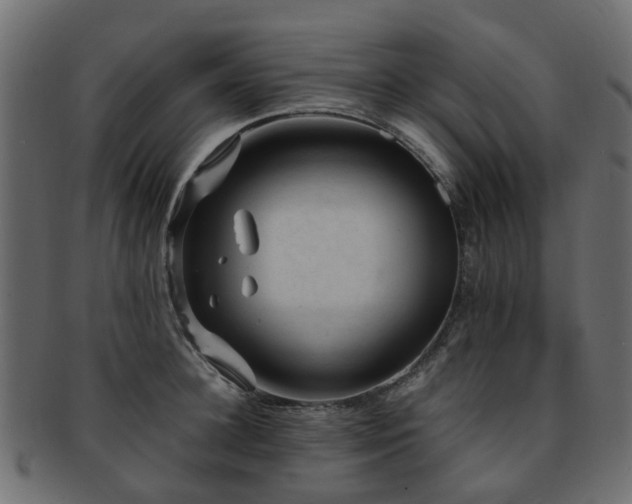 X0000093230948200709261649