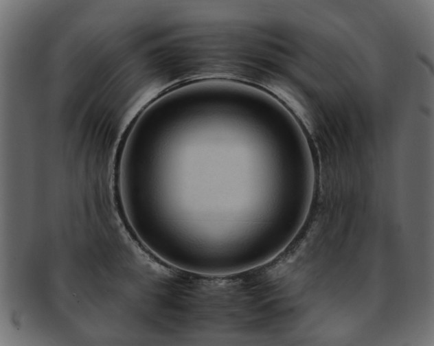 X0000093230949200709261649