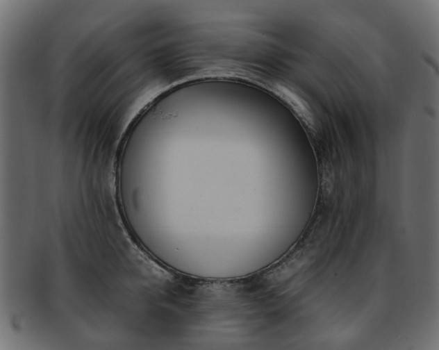 X0000093230950200709261649