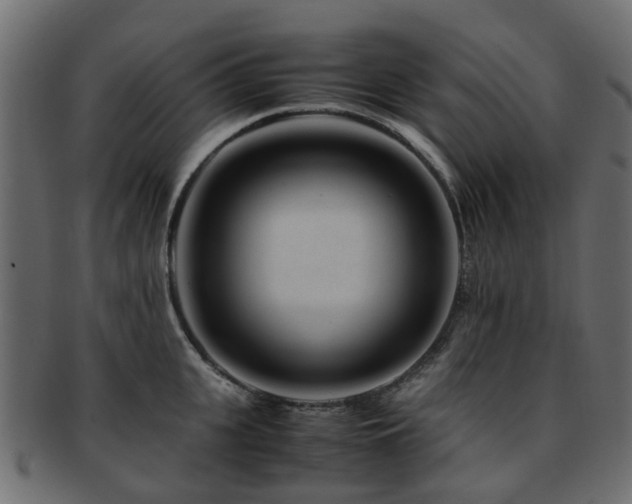 X0000093230951200709261649