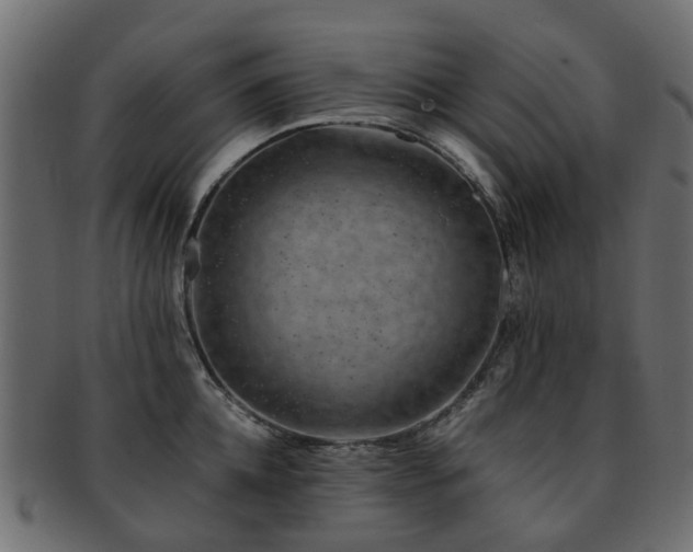 X0000093230952200709261649
