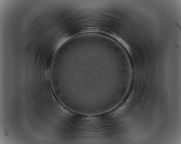 X0000093230953200709261649