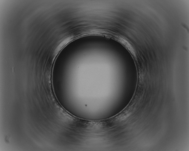 X0000093230954200709261649