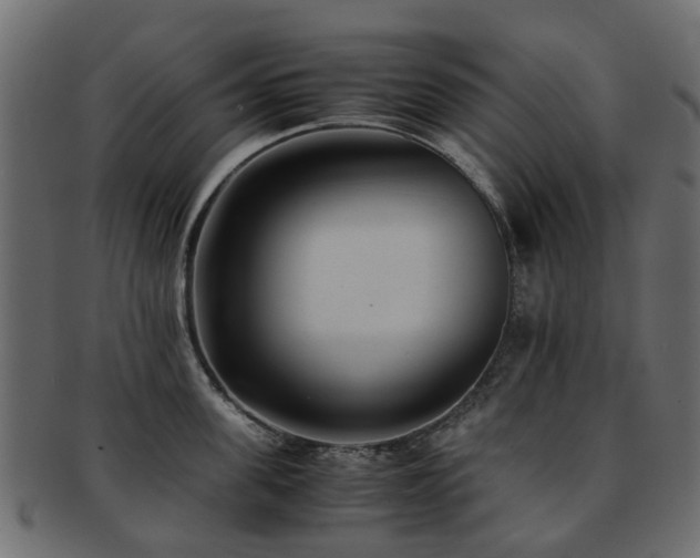 X0000093230955200709261649