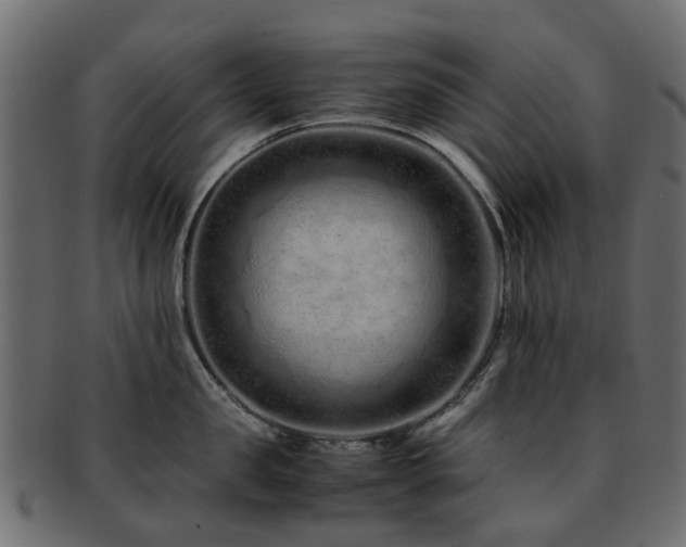 X0000093230957200709261649
