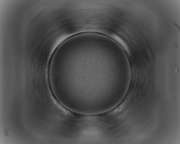 X0000093230958200709261649