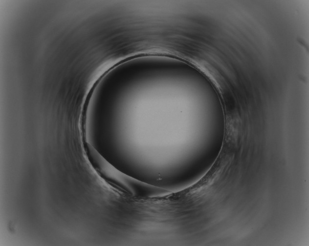 X0000093230959200709261649