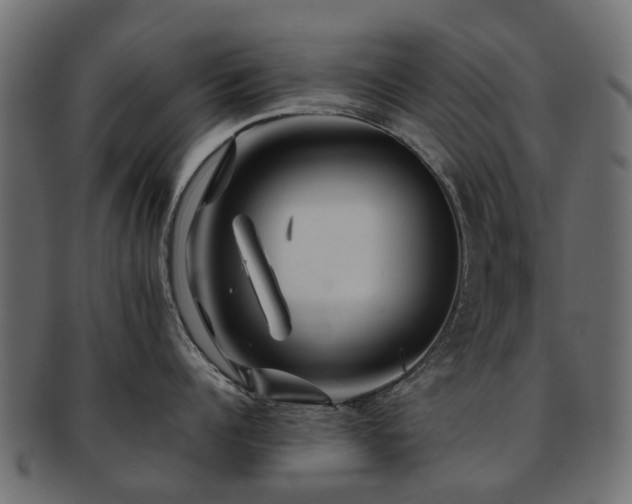 X0000093230960200709261649