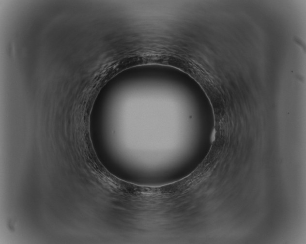 X0000093230961200709261649