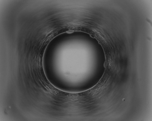 X0000093230964200709261649