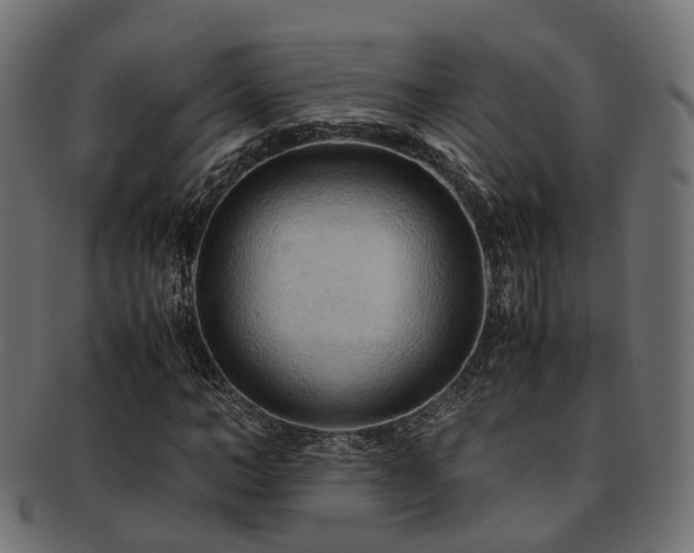 X0000093230966200709261649