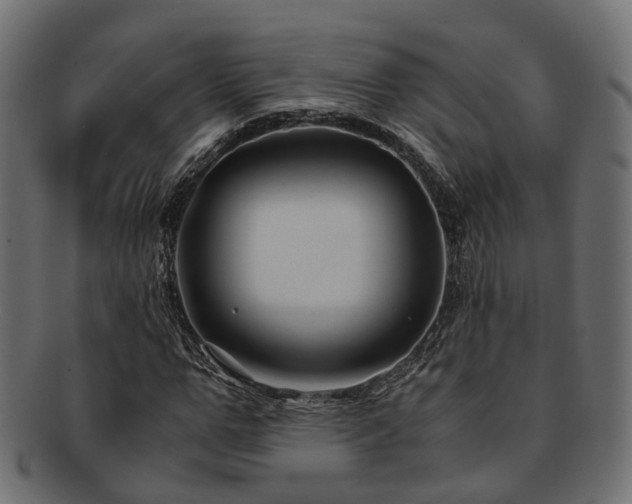 X0000093230967200709261649