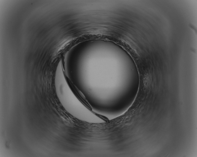 X0000093230968200709261649
