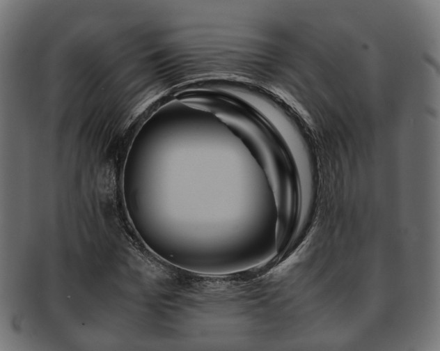 X0000093230969200709261649