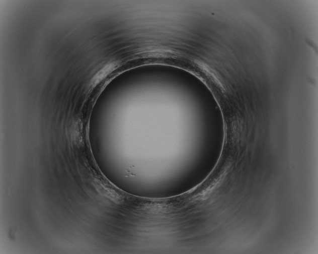 X0000093230970200709261649