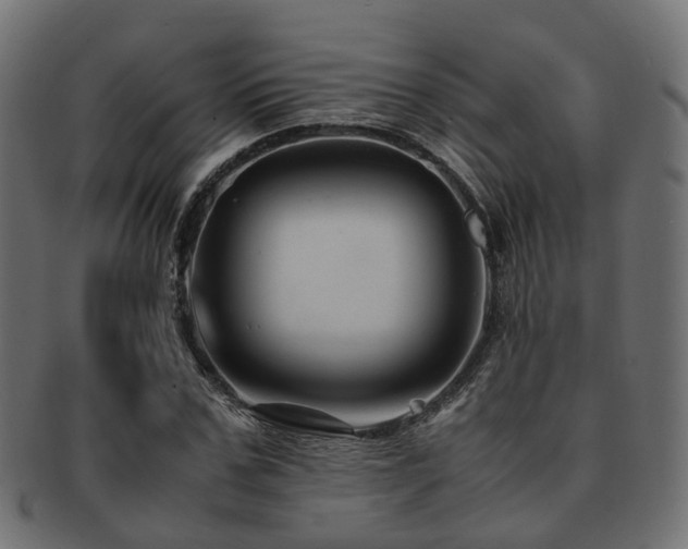 X0000093230971200709261649