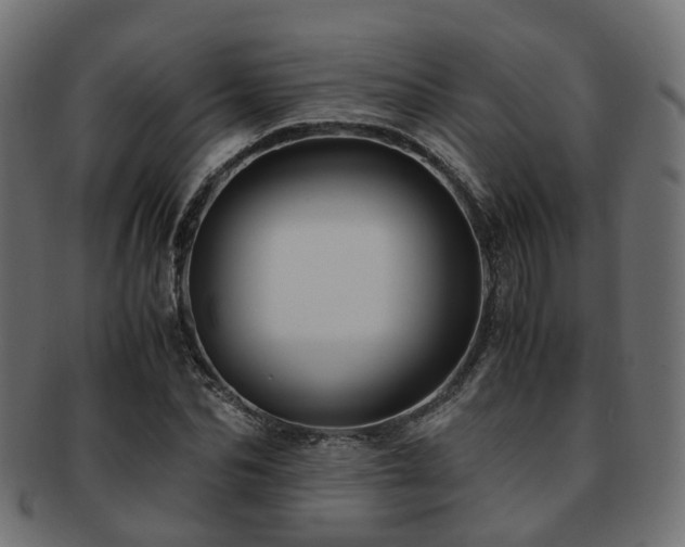 X0000093230974200709261649