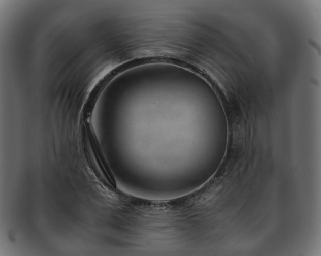 X0000093230975200709261649