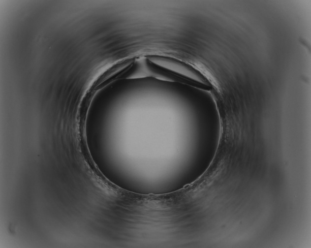 X0000093230976200709261649